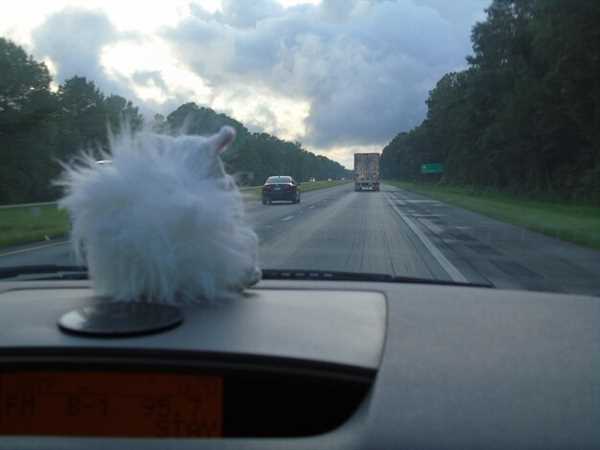 How to Drive Safely in Extreme Weather