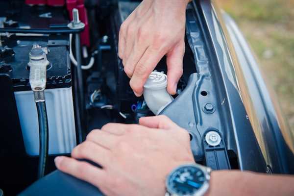 Optimal Charging Practices for Longevity